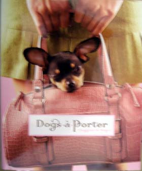DOG-A -PORTER