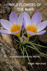 WILD FLOWERS OF THE MANI