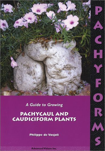 A GUIDE TO GROWING PACHYCAUL AND CAUDICIFORM PLANTS
