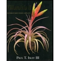 TILLANDSIA II