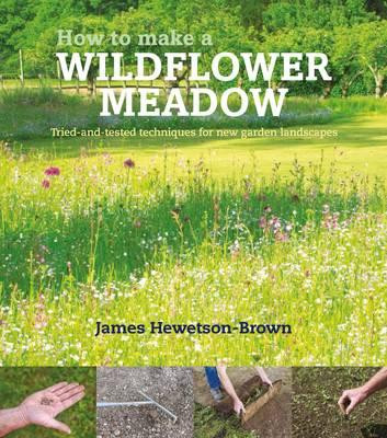 HOW TO MAKE A WILDFLOWER MEADOW