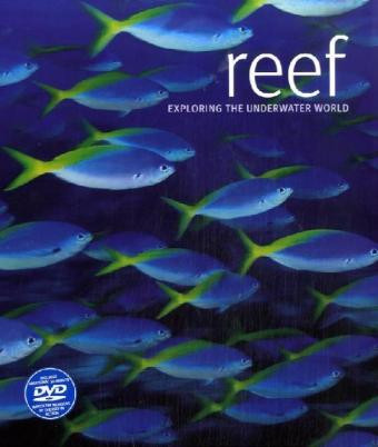 REEF EXPOLORING THE UNDERWATER WORLD