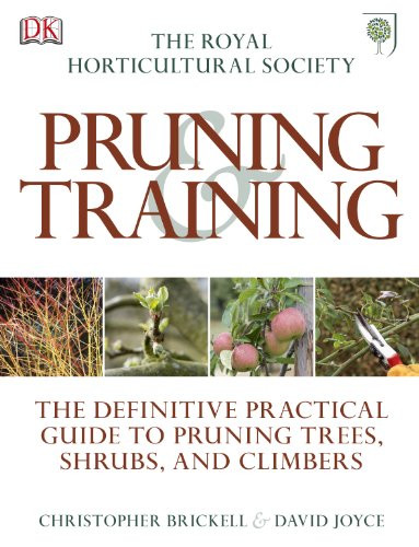 RHS PRUNING AND TRAINING
