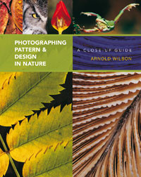 PHOTOGRAPHING PATTERN & DESIGN IN NATURE