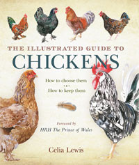 THE ILLUSTRATED GUIDE TO CHICKENS