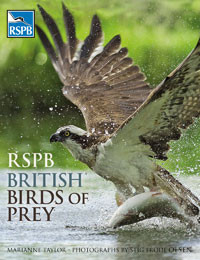 BRITISH BIRDS OF PREY