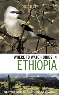 WHERE TO WATCH BIRDS IN ETHIOPIA