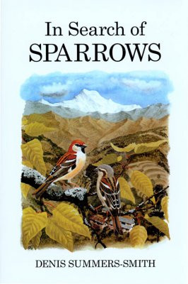 IN SEARCH OF SPARROWS