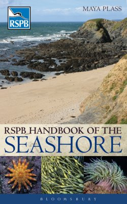 HANDBOOK OF THE SEASHORE