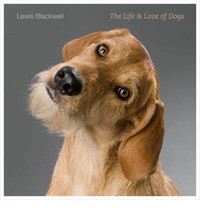THE LIFE & LOVE OF DOGS