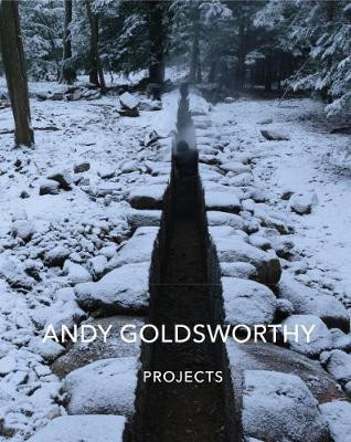 ANDY GOLDSWORTHY