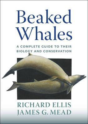 BEAKED WHALES