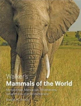 WALKER S MAMMALS OF THE WORLD