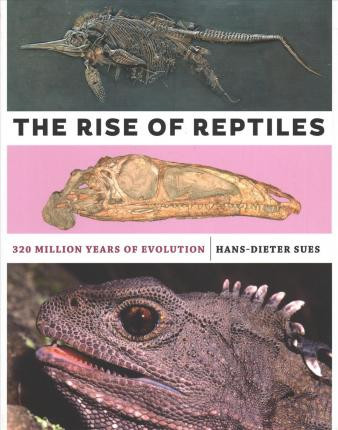 THE RISE OF REPTILES