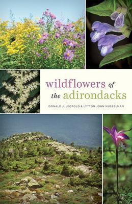 WILDFLOWERS OF THE ADIRONDACKS