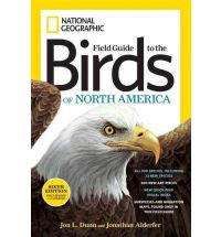 FIELD GUIDE TO THE BIRDS OF NORTH AMERICA