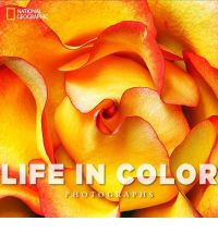 LIFE IN COLOR