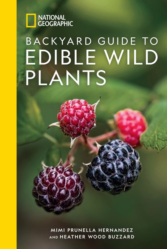 BACKYARD GUIDE TO EDIBLE WILD PLANTS