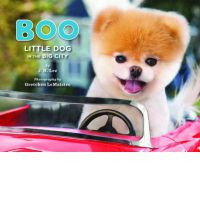 BOO