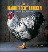 THE MAGNIFICENT CHICKEN