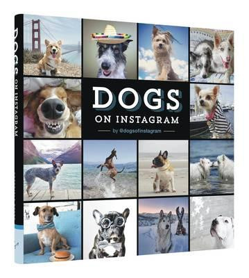 DOGS ON INSTAGRAM