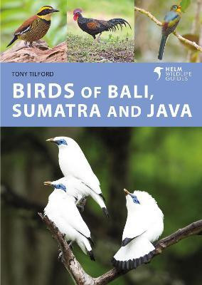 BIRDS OF BALI SUMATRA AND JAVA