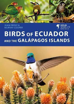 BIRDS OF ECUADOR AND THE GALAPAGOS ISLAND