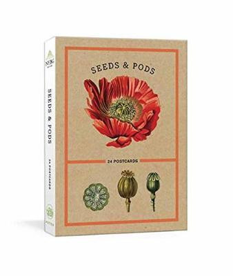 SEEDS & PODS