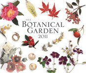 THE BOTANICAL GARDEN 2011