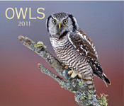 OWLS 2011