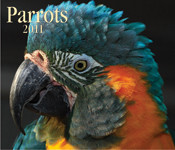 PARROTS 2011