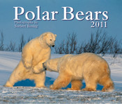 POLAR BEARS 2011