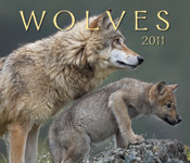 WOLVES 2011