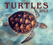 TURTLES 2012