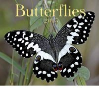 BUTTERFLIES 2013