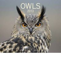 OWLS 2013