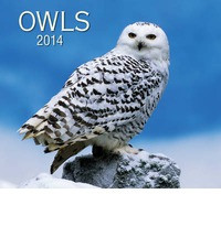 OWLS 2014