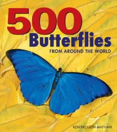 500 BUTTERFLIES FROM AROUND THE WORLD