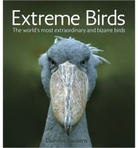 EXTREME BIRDS