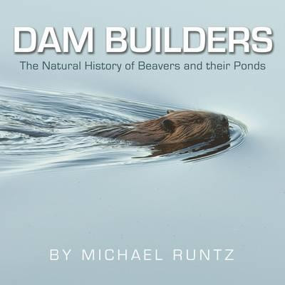 DAM BUILDERS