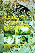 INCUBATION OF REPTILE EGGS
