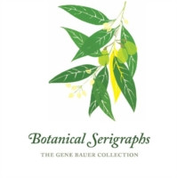 THE GENE BAUER COLLECTION