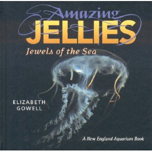 AMAZING JELLIES