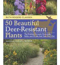 50 BEAUTIFUL DEER RESISTANT PLANTS