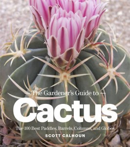 THE GARDENER S GUIDE TO CACTUS