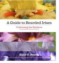 A GUIDE TO BEARDED IRISES