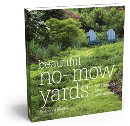 BEAUTIFUL NO MOW YARDS