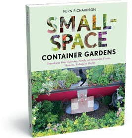 SMALL SPACE CONTAINER GARDENS