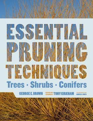 ESSENTIAL PRUNING TECHNIQUES