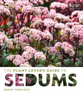 THE PLANT LOVER S GUIDE TO SEDUMS